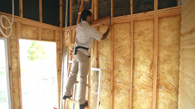 Best Soundproof Insulation  in Pigeon, MI