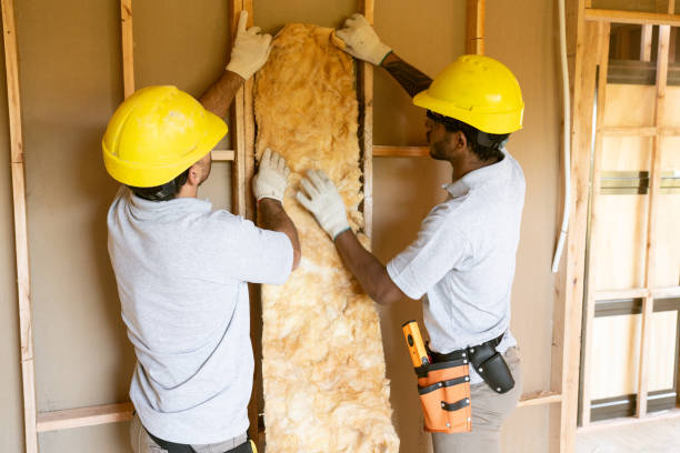 Best Radiant Barrier Insulation  in Pigeon, MI